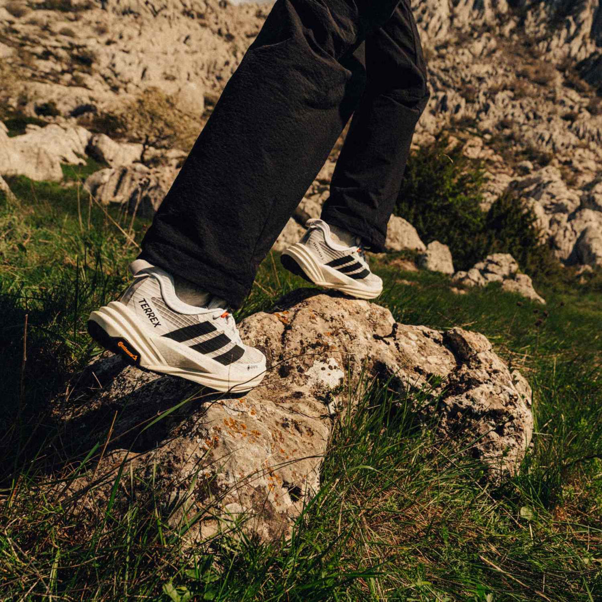 Chaussure de randonnée Adidas Terrex Freehiker 3 Low GTX blanc et noir – vue 9